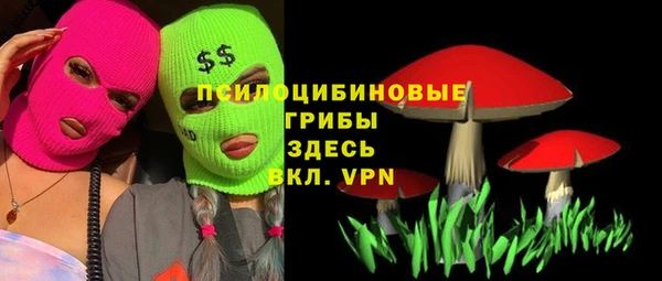 ECSTASY Краснослободск