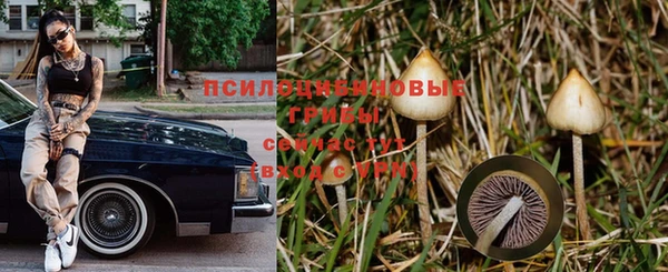 apvp Красноперекопск