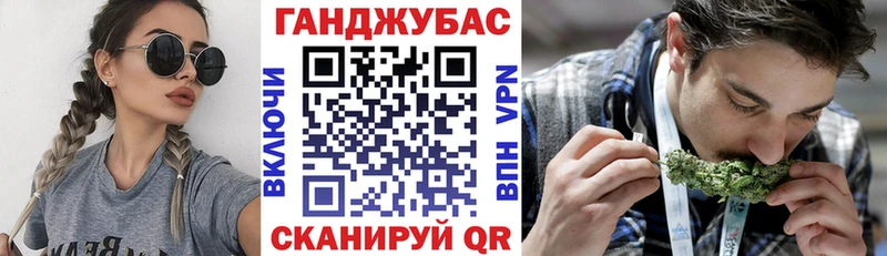 Купить где  Рошаль  Бошки Шишки план 